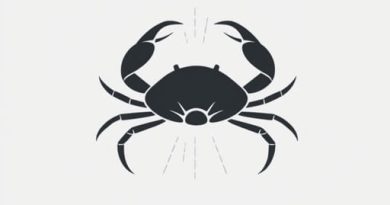 What Is The Crab Nebula