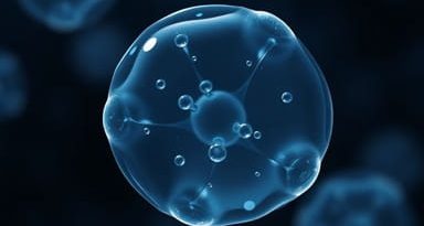 What Is The Definition Of Cytoplasm