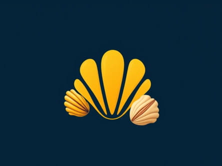 Yellow Cowrie Shells Near Me