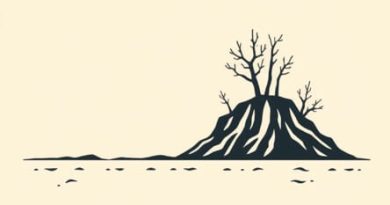 Youth Stage Of Cycle Of Erosion