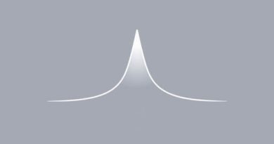 Zero Bias Conductance Peak