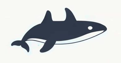 A False Killer Whale