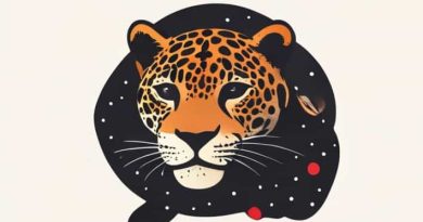 A Jaguar Ii Christmas