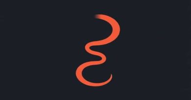 A Matter Of Earnestness