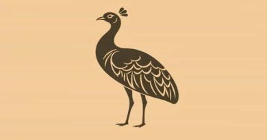 Acetone And Chloroform Deviation