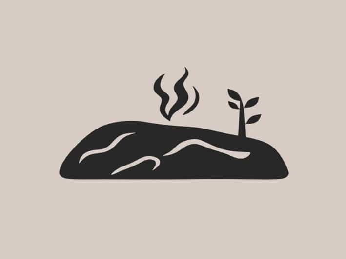 Achene Fruit In Hindi