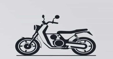 Adjective Form Of Cowardice