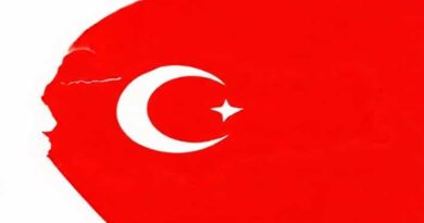 Alert Irruption Ne Demek