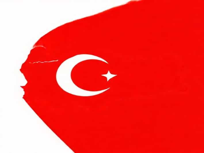 Alert Irruption Ne Demek