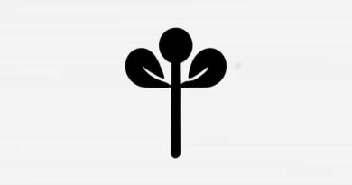 Another Name For Peduncle