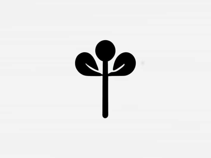 Another Name For Peduncle