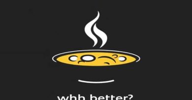 Another Word For Bullfight