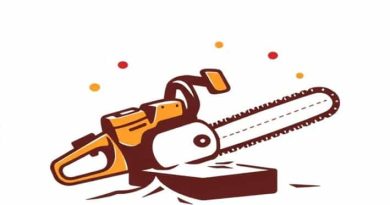 Another Word For Codify