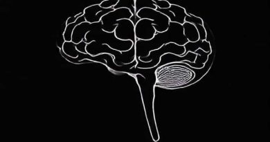 Another Word For Subsidiarity