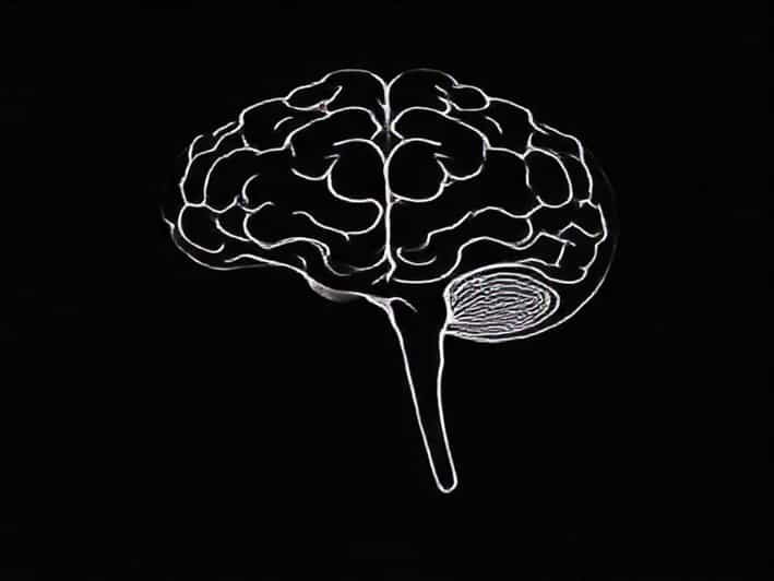 Another Word For Subsidiarity