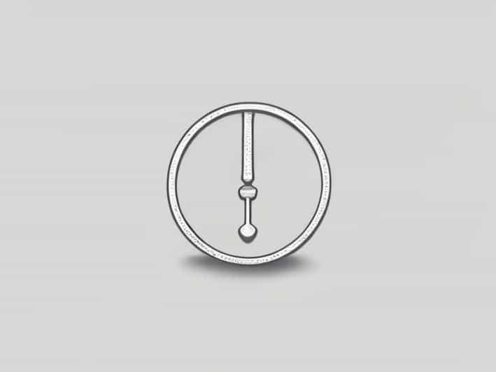 Another Word For Weightiness