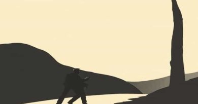 Artistas Do Movimento Armorial