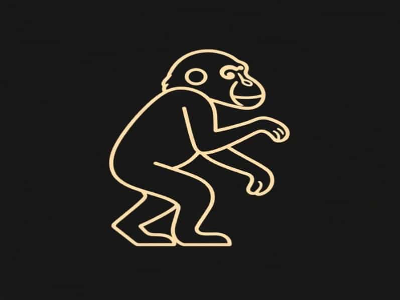 Australopithecus X Y Z