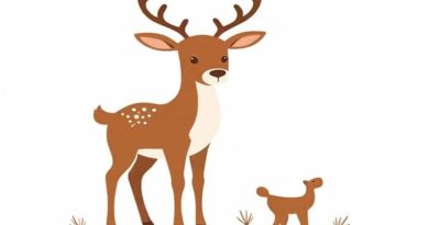 Baby Reindeer Real Martha