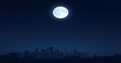 Before Midnight Surpass Nyt