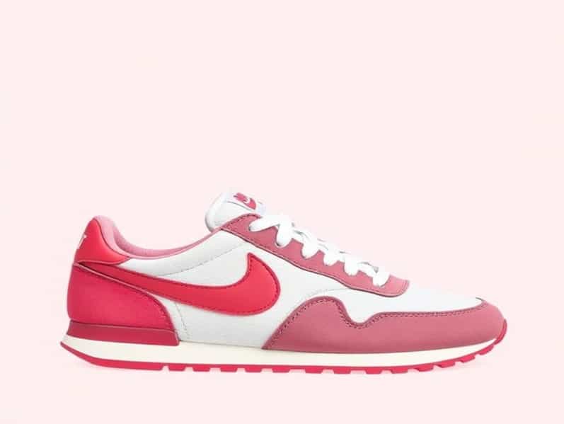 Best Nike Internationalist Colorway