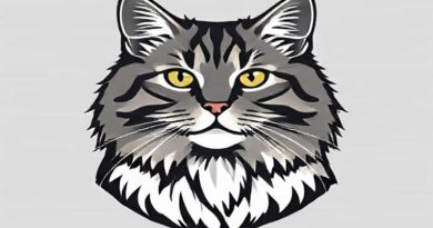 Biggest Maine Coon Cat