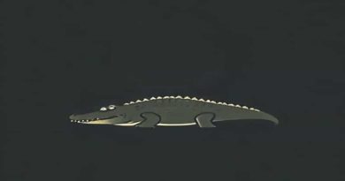 Biggest Mugger Crocodile Ever