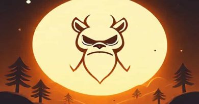 Bollokan Envisage Worth It