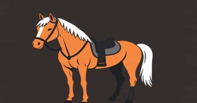 Bootless And Unhorsed Members