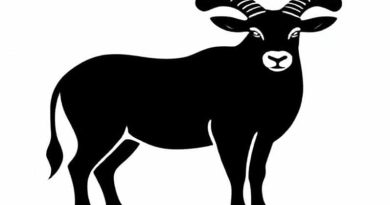 Bovid Ruminant 4 Letters