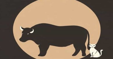 Bovine Ursine Canine Feline