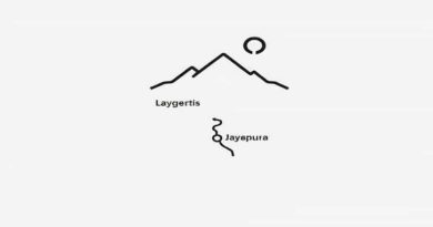 Chikmagalur To Jayapura Distance