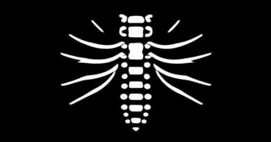 Ciliospinal Center Of Budge