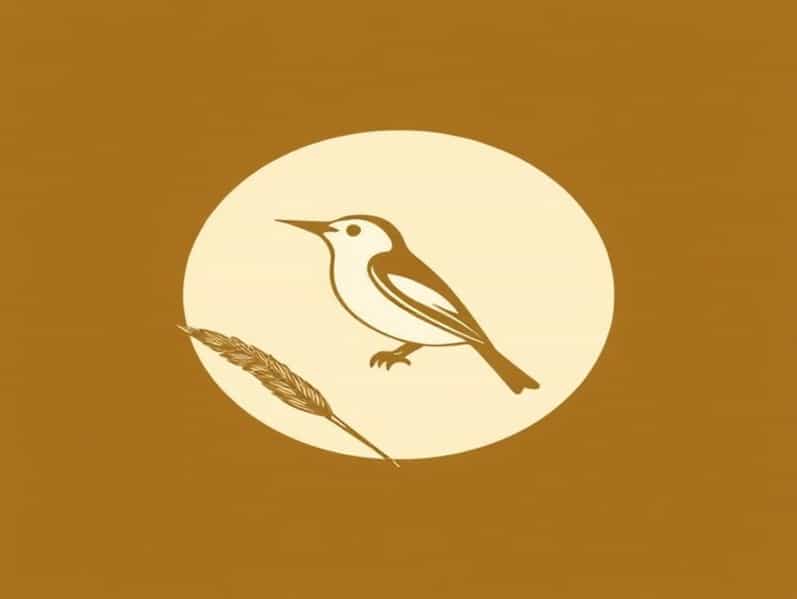 Clamorous Reed Warbler Ebird