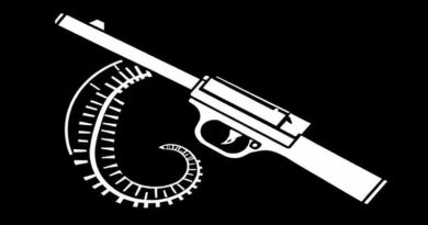 Colt Anaconda 6 Inch