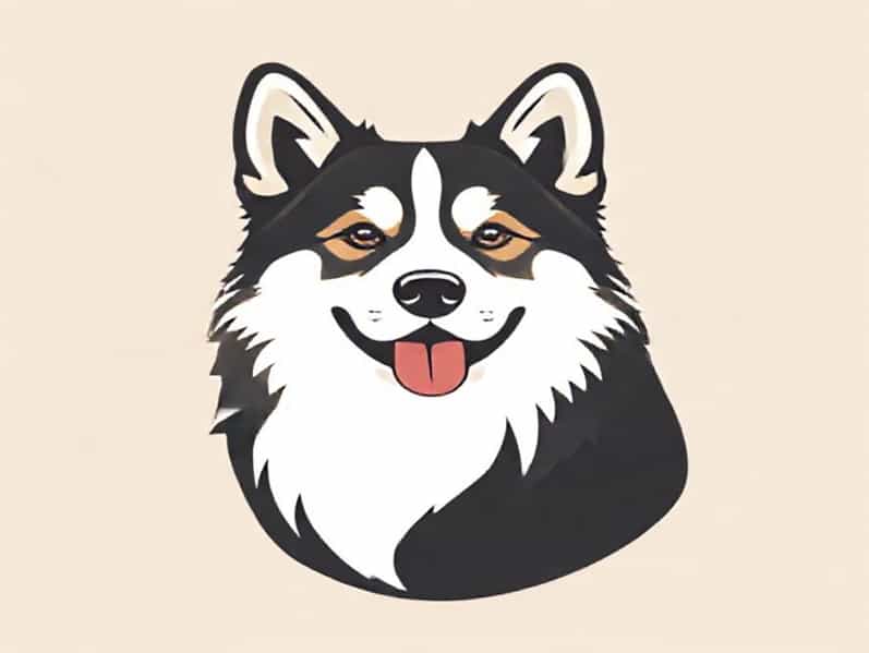 Corgi X Alaskan Malamute