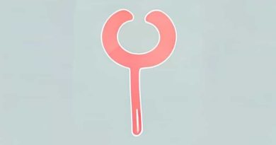 Diagram Of Fallopian Tube