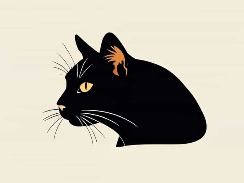 Dilute Tortoiseshell Cat Personality