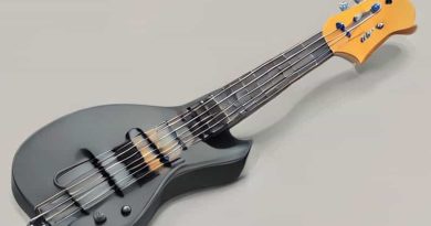 Dingwall Fanned Fret Bass