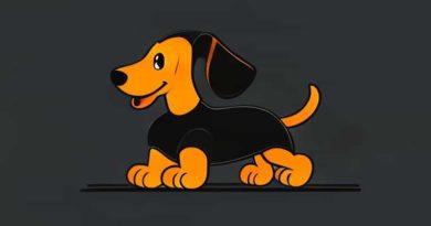 Disney Slinky Dog Ride