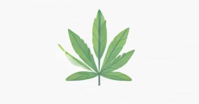 Does Recess Have Cbd