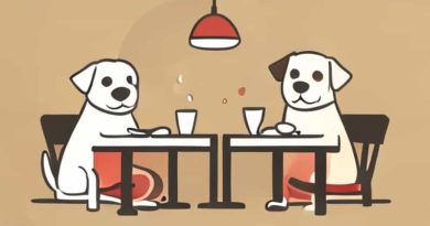 Dogs In Restaurants Disgusting