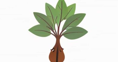 Droopy Fiddle Leaf Fig