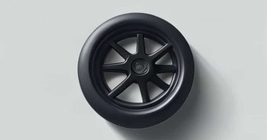 Dt Swiss Tubeless Valve