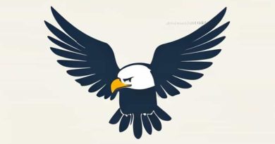 Eagle Mike Doohickey Instructions