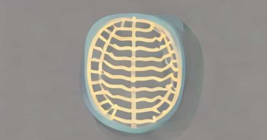 Early Proximal Convoluted Tubule