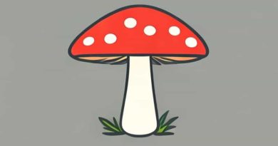 East Anglia Fly Agaric