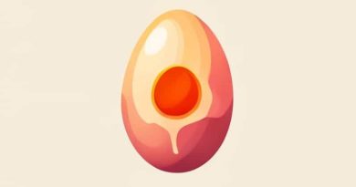 Egg In Fallopian Tube