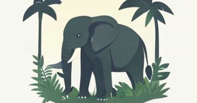 Elephant Jungle Sanctuary Phuket