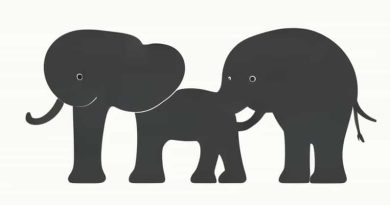 Elephants Can Remember Poirot